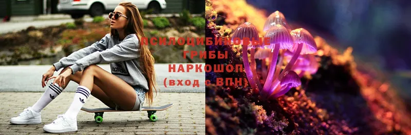 Галлюциногенные грибы Magic Shrooms  Севастополь 